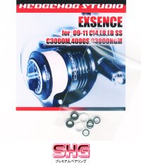 11-10 EXSENCE LB SS, 10-09 EXSENCE CI4 Line Roller 2 Bearing Kit Ver.1 【SHG】