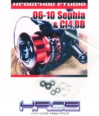 11-07 SEPHIA CI4, BB Line Roller 2 Bearing Kit Ver.1 【HRCB】