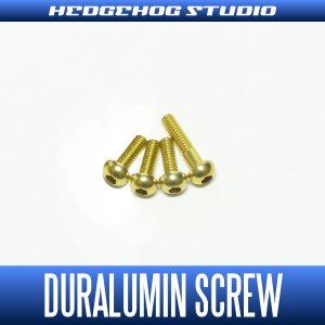 Photo1: 【SHIMANO】Duralumin Screw Set 6-6-6-9 【16-17炎月】 CHAMPAGNE GOLD