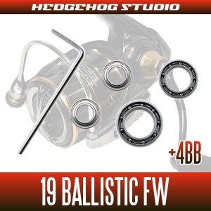 Photo2: 19 BALLISTIC FW  LT1000S-P, LT2000SS-XH, LT2500S-C, LT2500S-CXH Full Bearing Kit