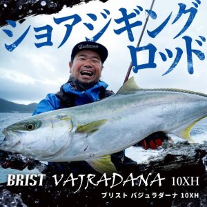Photo4: [Fishman] BRIST VAJRADANA 10XH (Rod)