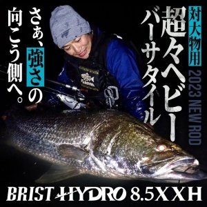 Photo4: [Fishman] BRIST HYDRO 8.5XXH (Rod)