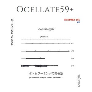 Photo1: [TRANSCENDENCE] Ocelate 59B (Rod)