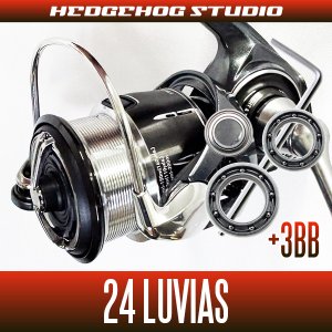 Photo1: [DAIWA] 24 LUVIAS LT2000S-P, LT2000S-H, LT2500S, LT2500S-XH, PC LT2500, PC LT2500-H, LT3000-H, PC LT3000, PC LT3000-XH, LT4000-XH, LT5000D-CXH [Single Handle Model] Upgrade Bearing Kit