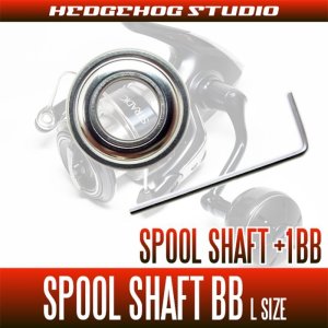 Photo1: [SHIMANO] Spool Shaft 1 Bearing Kit for Spinning Reels [L size]