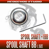 [SHIMANO] 24 STRADIC SW 4000HG, 4000XG Spool Shaft 1 Bearing Kit [L size]