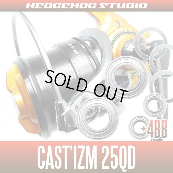 Photo1: Cast'Izm 25QD Full Bearing Kit 【SHG】 (1)