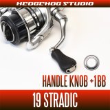 SHIMANO] 19 STRADIC(STRADIC FL) Spare Spool