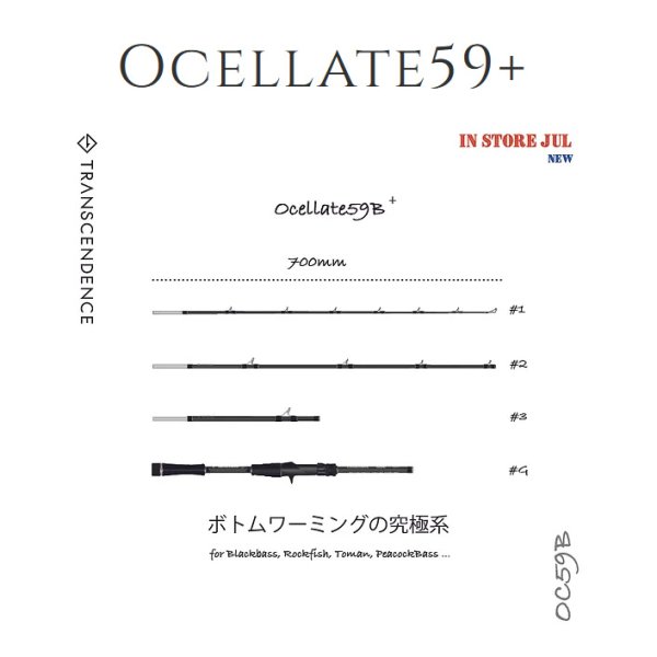 Photo1: [TRANSCENDENCE] Ocelate 59B (Rod) (1)