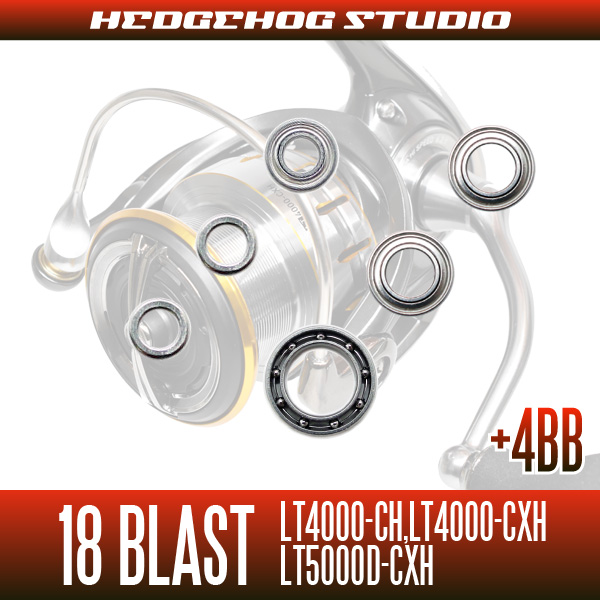 18 BLAST LT4000-CH, LT4000-CXH, LT5000D-CXH MAX10BB Full Bearing Kit